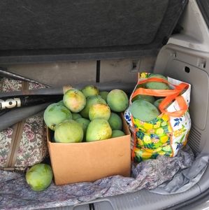 Meet your Posher, Lorene